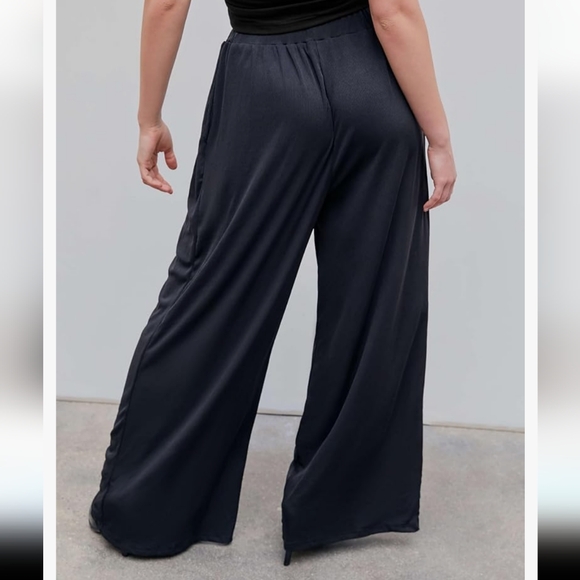 TRENDING CIDER BRAND WIDE LEG PALLAZO pant size 1X - Picture 3 of 11